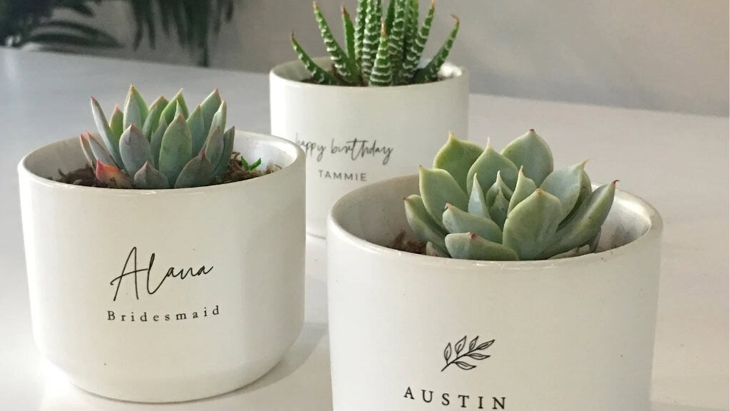 Personalized Mini Succulent Gift