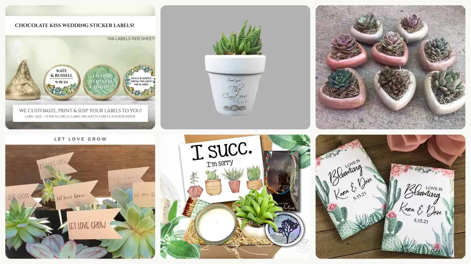 A selection of the succulent wedding favors on a budget picks in this roundup