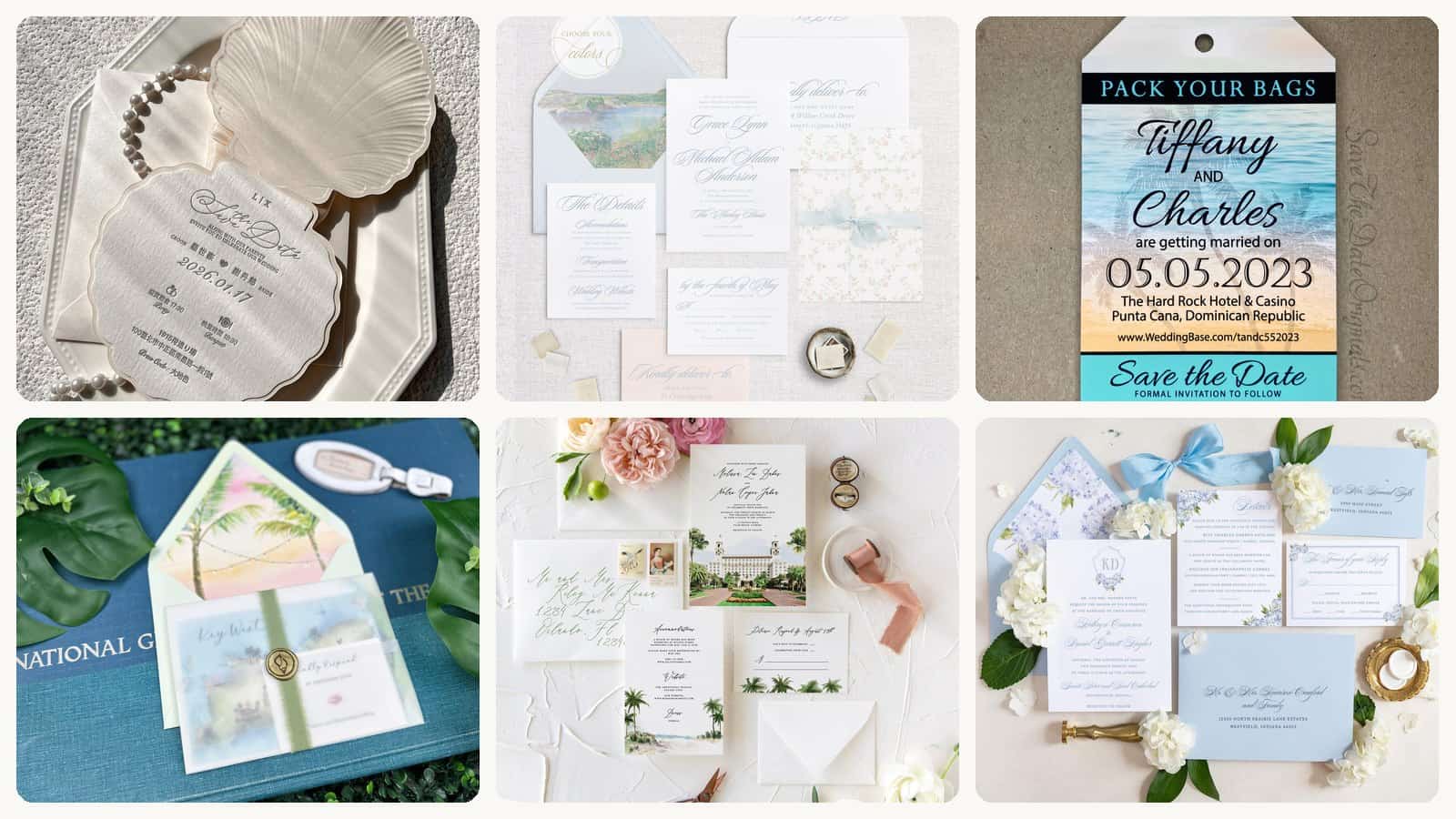 A selection of the shells, watercolour shorelines, palm prints and clean modern type